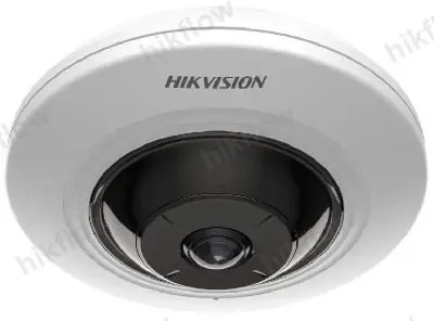 Hikvision DS-2CD2955G0-ISU 5 MP 180° Fisheye Ağ Kamerası