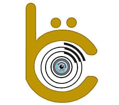 Binbiröge Güvenlik Sistemleri logosu
