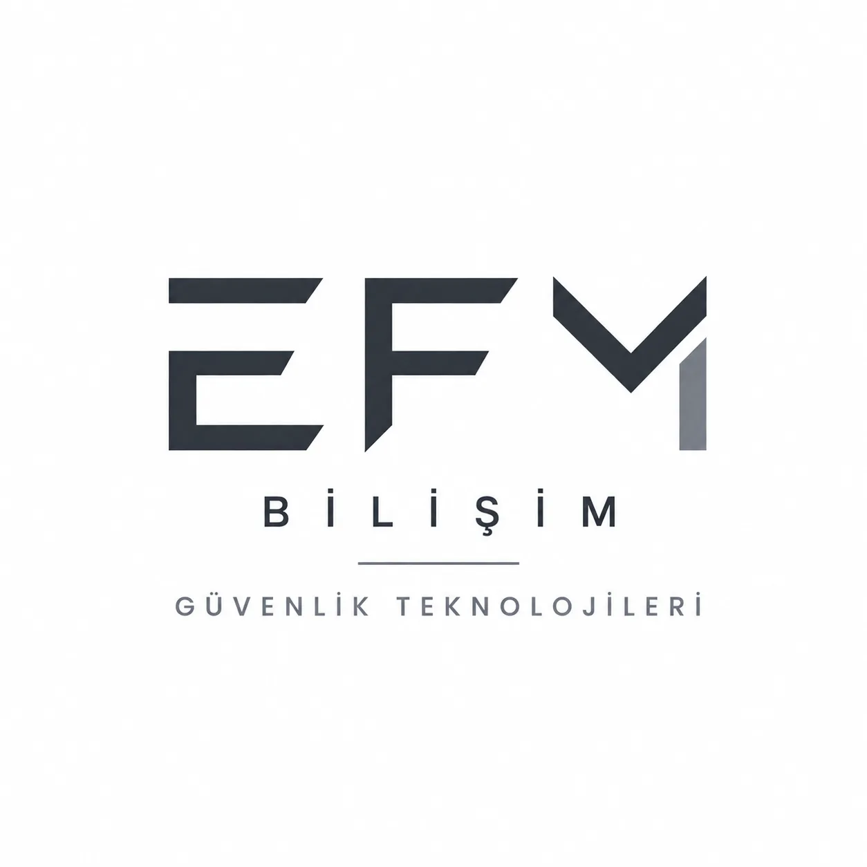 EFM BİLİŞİM TEKNOLOJİLERİ logosu