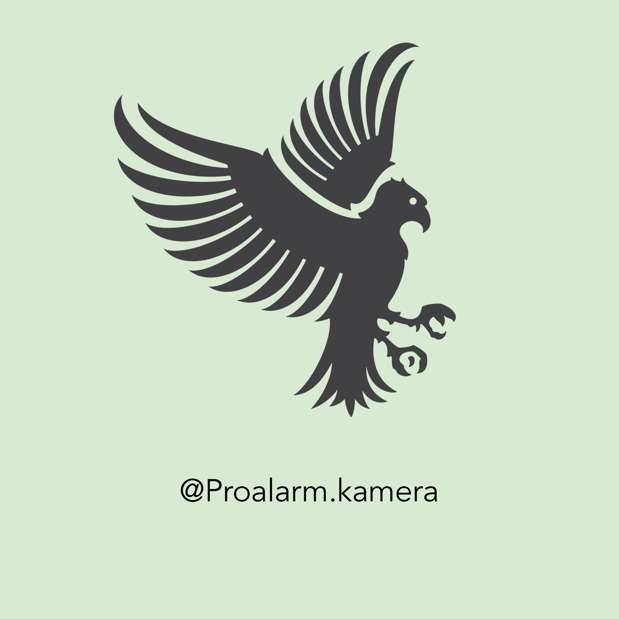 Proalarmkamera güvenlik teknoloji sistemleri logosu