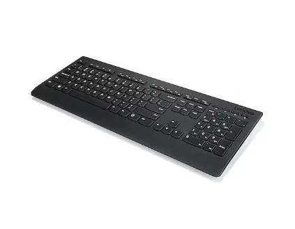 Lenovo Professional Kablosuz Türkçe Q Klavye 4X30H56872