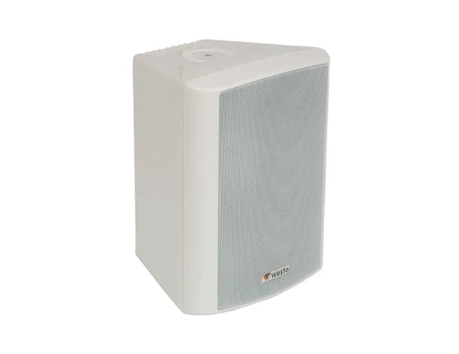 Westa WS-5TW 13CM 125W Hat TR Beyaz Plastik Kabin Hoparlör
