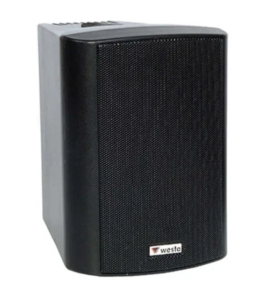 Westa WS-4TB 10 cm 100 W HAT TR Plastik Kabin Hoparlör Siyah TAKIM