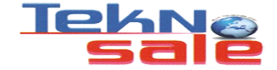 Teknosale Güvenlik ve Bilgisayar Sistemleri logosu